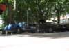 giornatalancia2009104_small.jpg