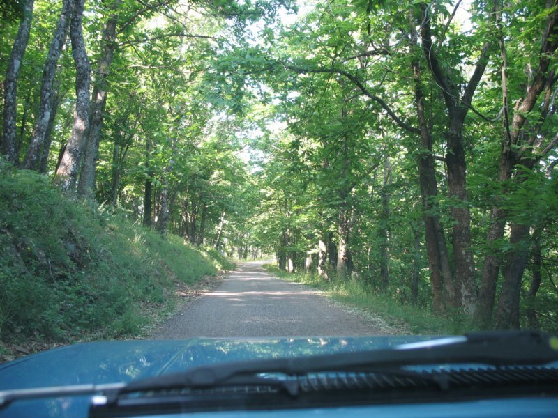 giornatalancia200942.jpg