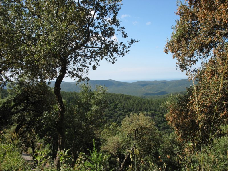 giornatalancia200945.jpg