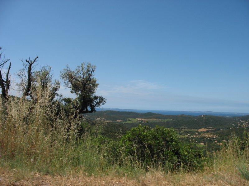 giornatalancia200951.jpg