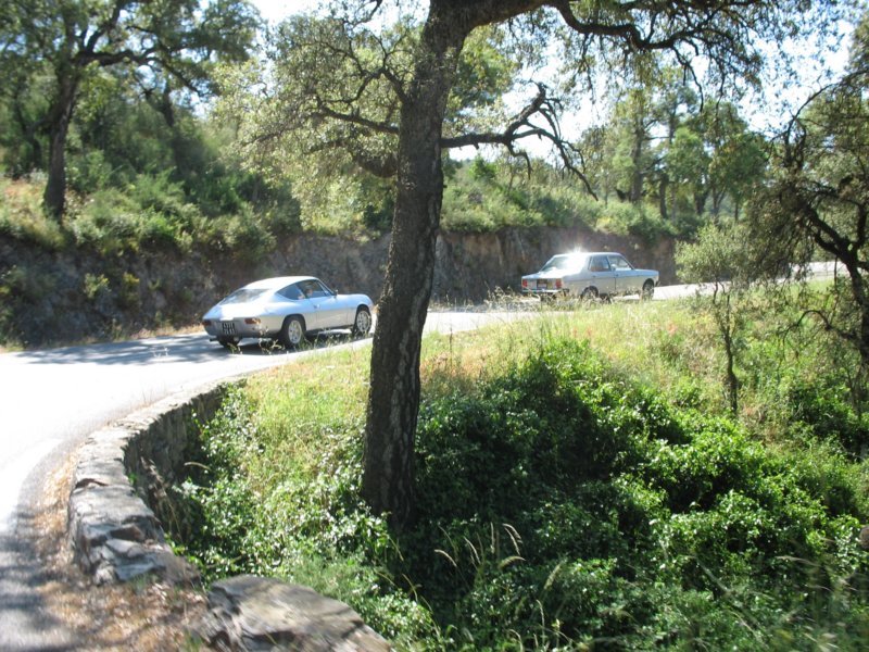 giornatalancia200952.jpg