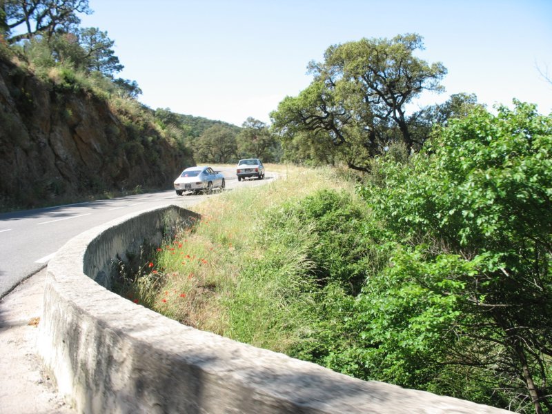 giornatalancia200954.jpg