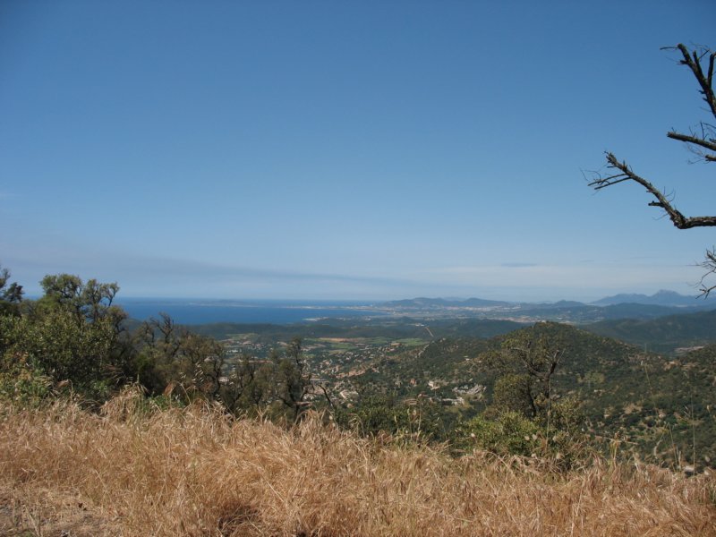 giornatalancia200957.jpg