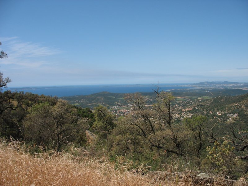 giornatalancia200959.jpg