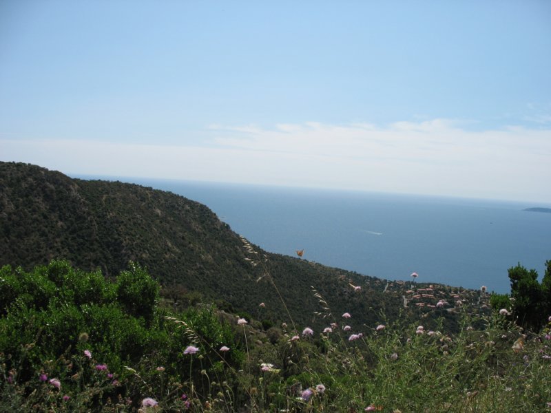 giornatalancia200963.jpg