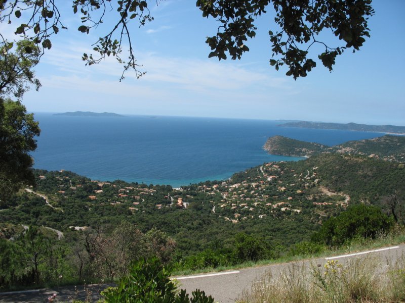 giornatalancia200972.jpg