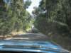 giornatalancia200980_small.jpg