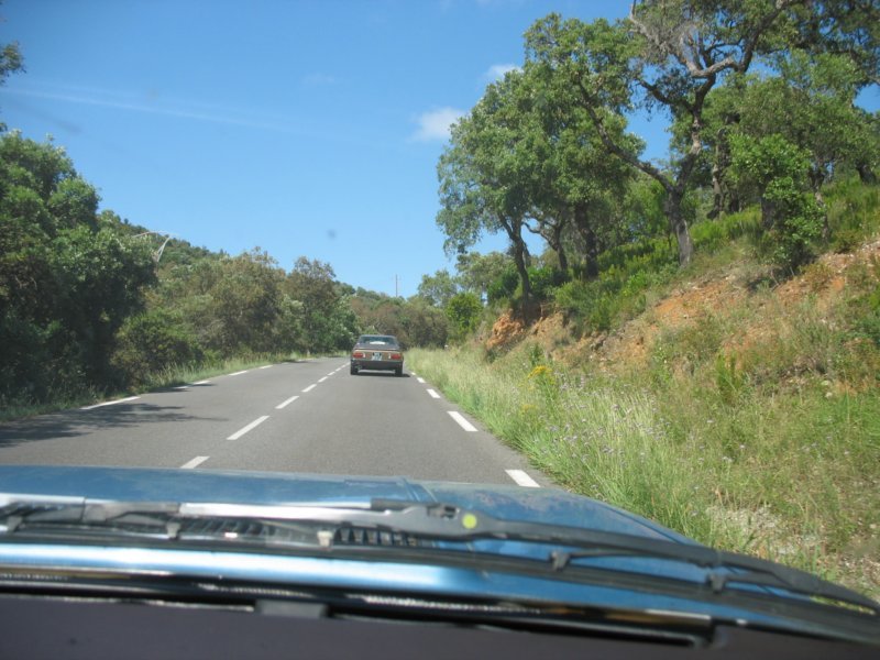 giornatalancia200981.jpg