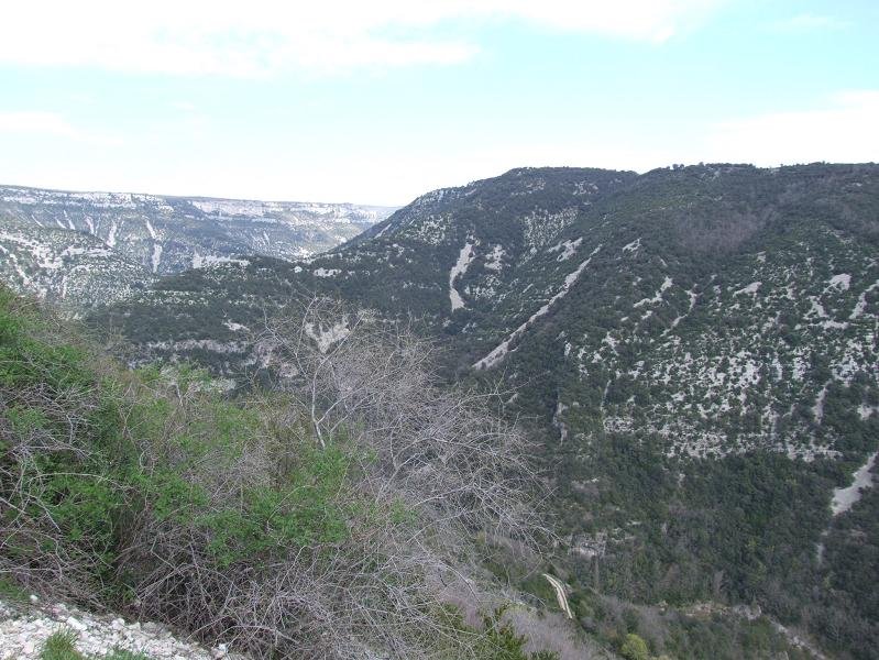 iccmontpellier2006040015.jpg