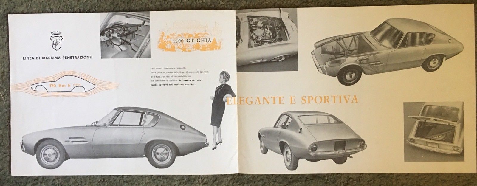 ghia 2.jpg