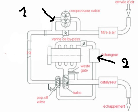 tsi10.jpg